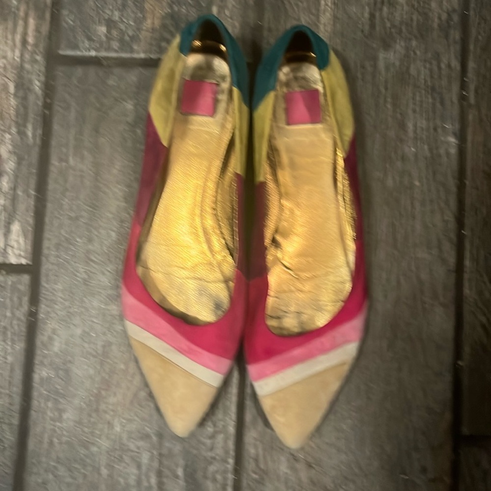 Coach Carlyn Multicolor Color Block Suede Pointed Flats